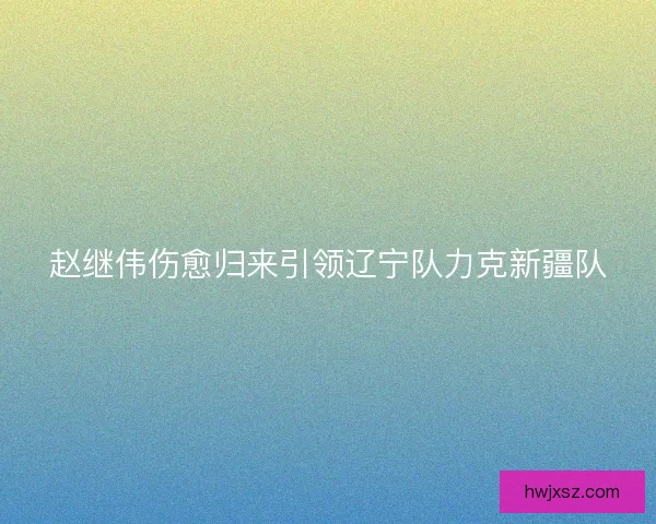 赵继伟伤愈归来引领辽宁队力克新疆队